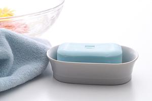 【2025年最新】福岡のシロアリ駆除対策完全ガイド！効果的な予防と駆除方法を徹底解説